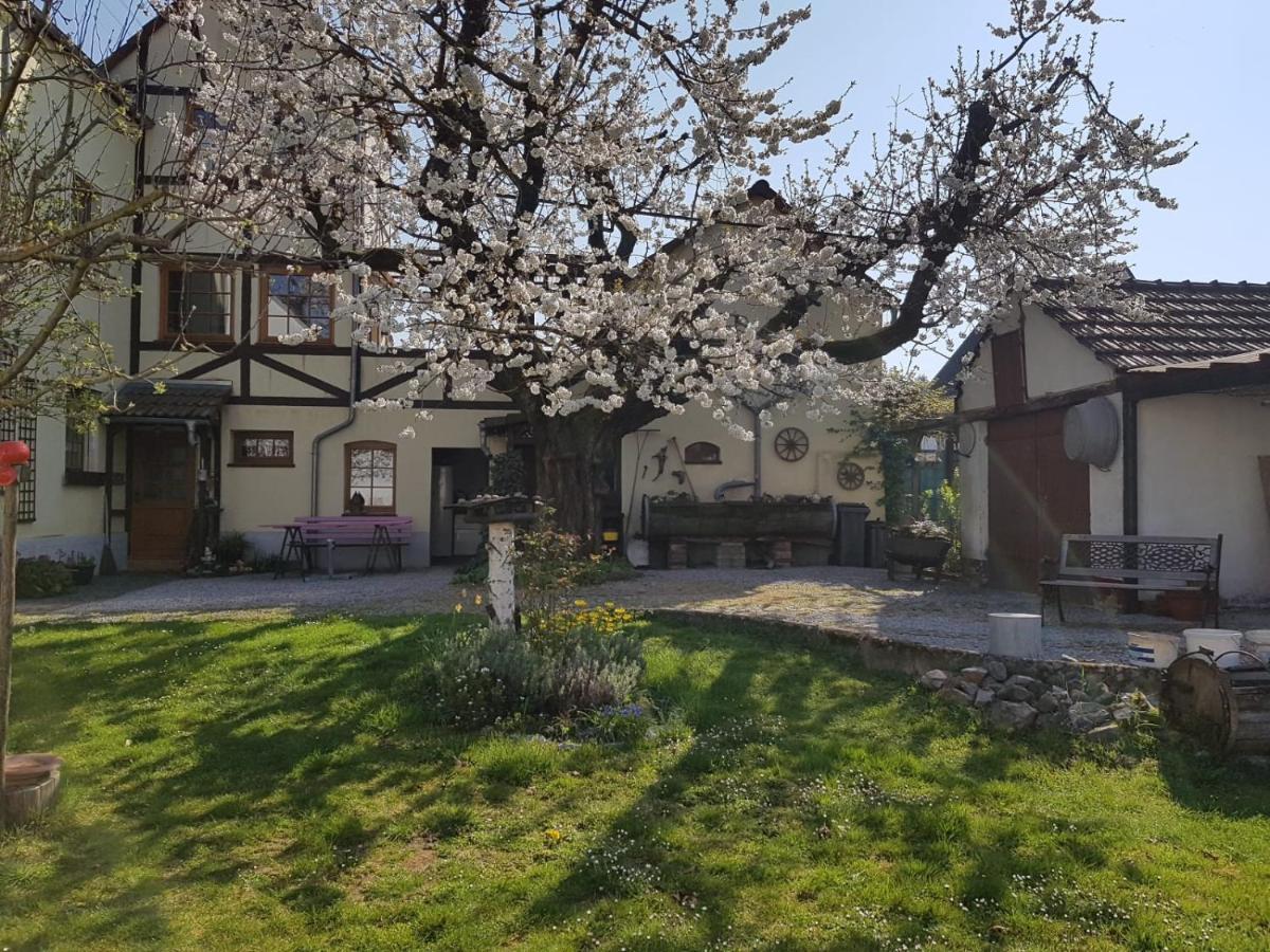 Ferienwohnung Zum-Alten-Kirschbaum Лимбург-ан-дер-Лан Экстерьер фото